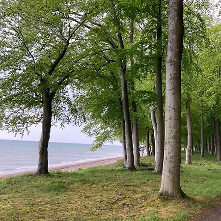 Sommerliv Bed & Breakfast *